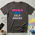 Delulu But Self-Aware T-Shirt